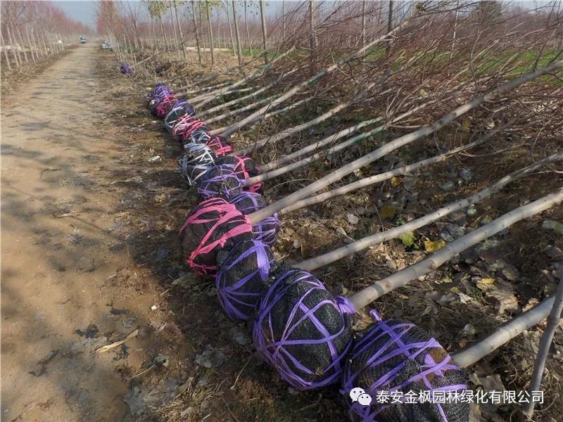 安徽省專精特新企業(yè)