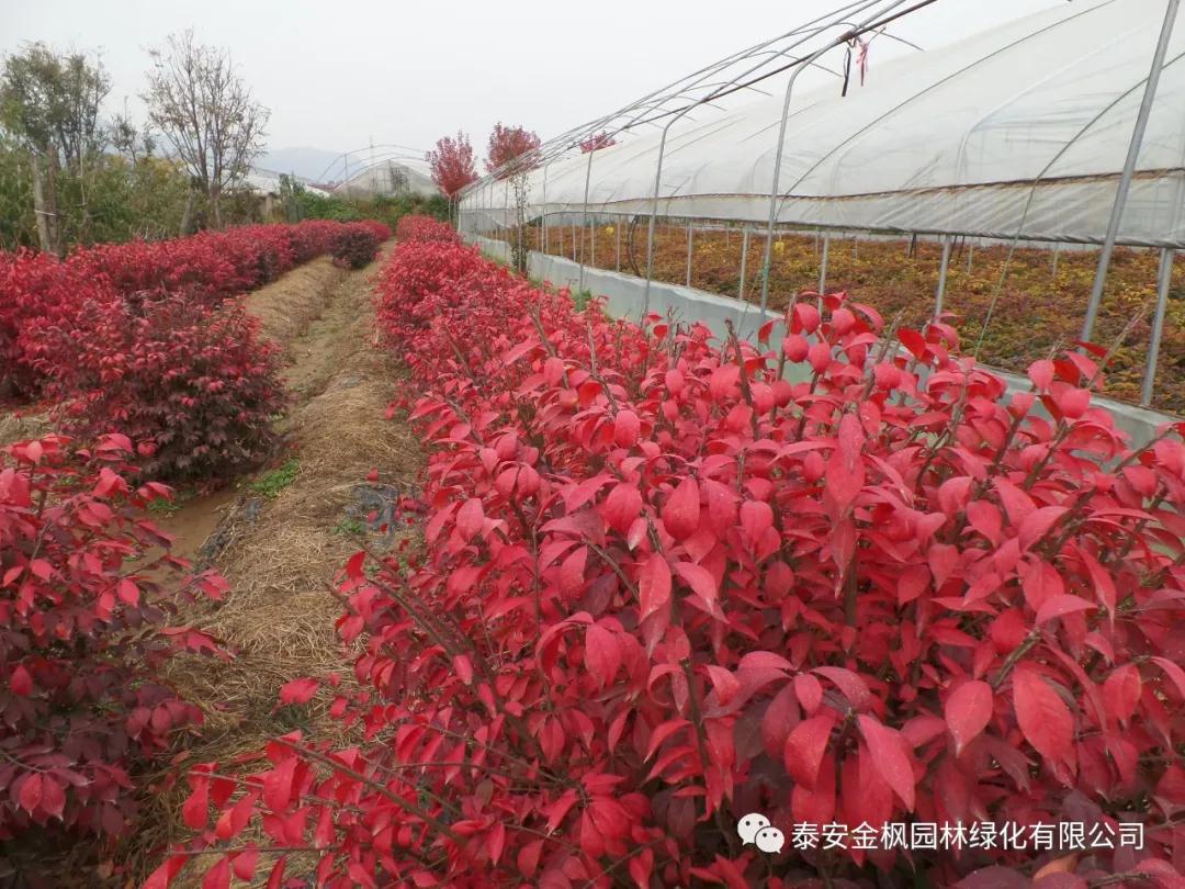 四川自貢環(huán)衛(wèi)系統(tǒng)——瑞清S16