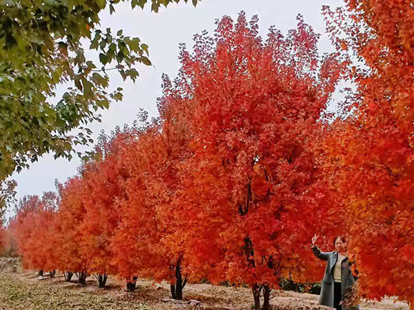 四川某環(huán)衛(wèi)系統(tǒng)首批次到貨——瑞保Q3