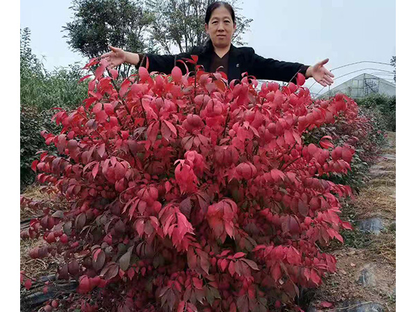 四川北控水務(wù)XX項(xiàng)目